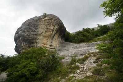 Прикрепленное изображение: DSC03383-1.jpg